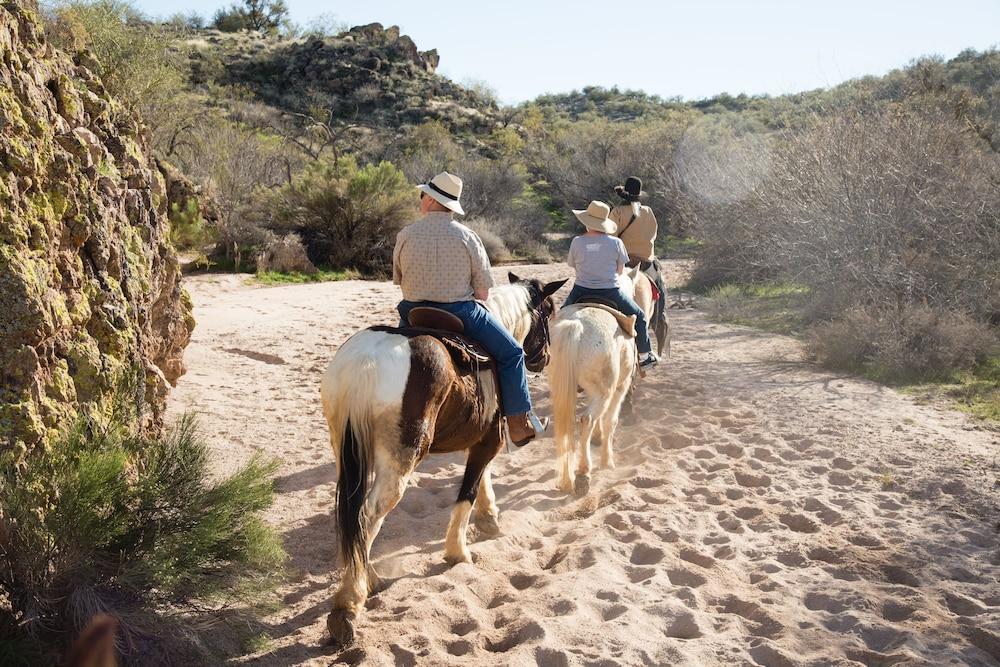 Rancho De Los Caballeros Wickenburg Kültér fotó