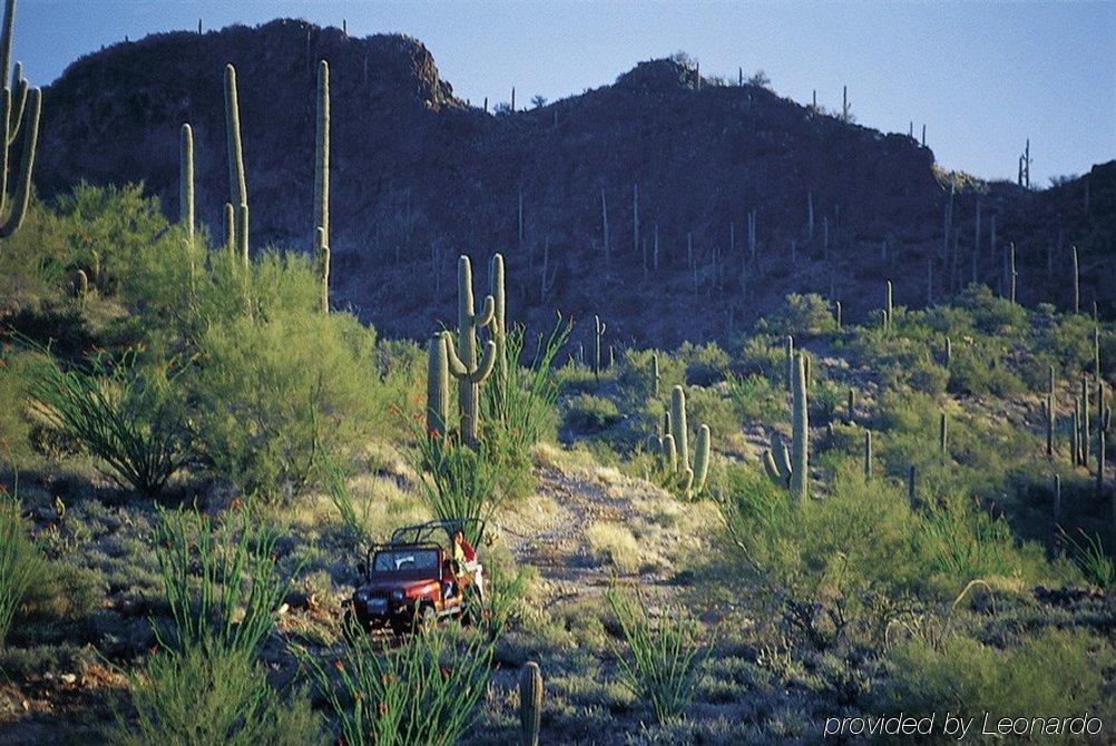 Rancho De Los Caballeros Wickenburg Kültér fotó
