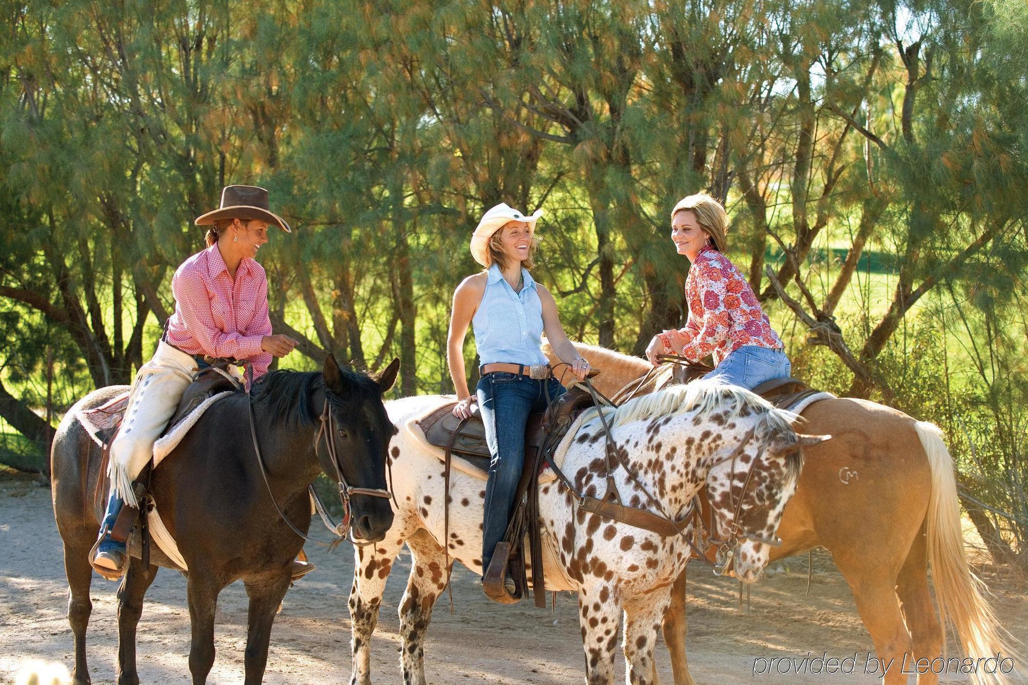 Rancho De Los Caballeros Wickenburg Kültér fotó