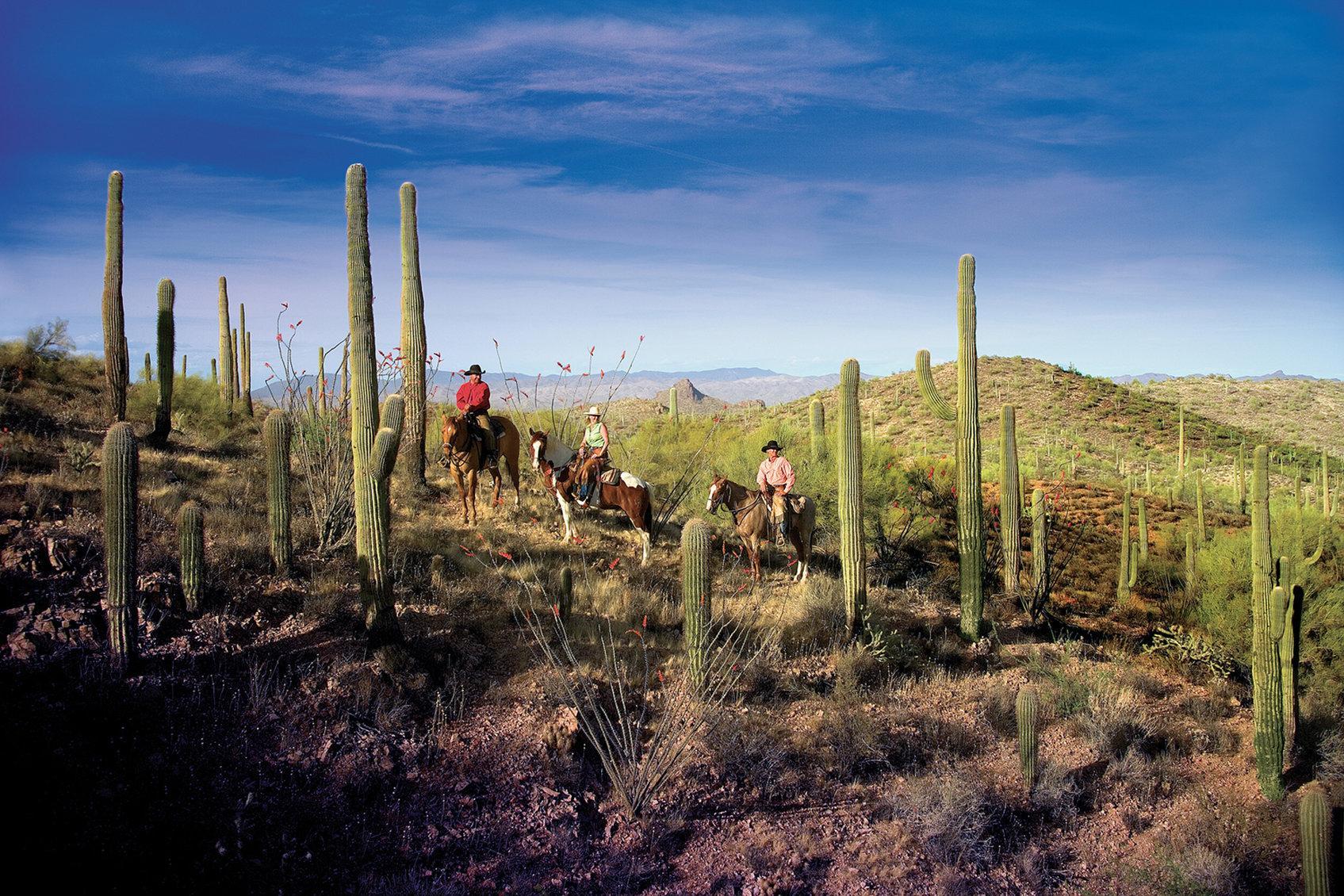 Rancho De Los Caballeros Wickenburg Kültér fotó